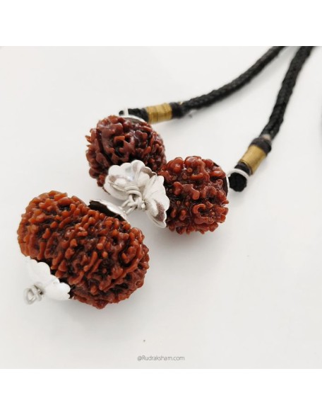 6mm Rudraksha - Navratna Navgrah Mala Rosary 6mm Rudraksha - Navratna Navgrah Mala Rosary