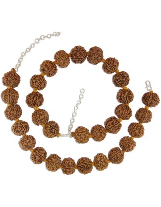 6 Mukhi Rudraksha Armlets with Silver Chain - Pack of 2 