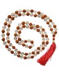 5mm Rudraksha Coral Mala | Rudraksha Moonga Combination Mala Necklace for Planet Mars 